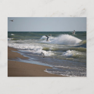 Cartão Postal Vento