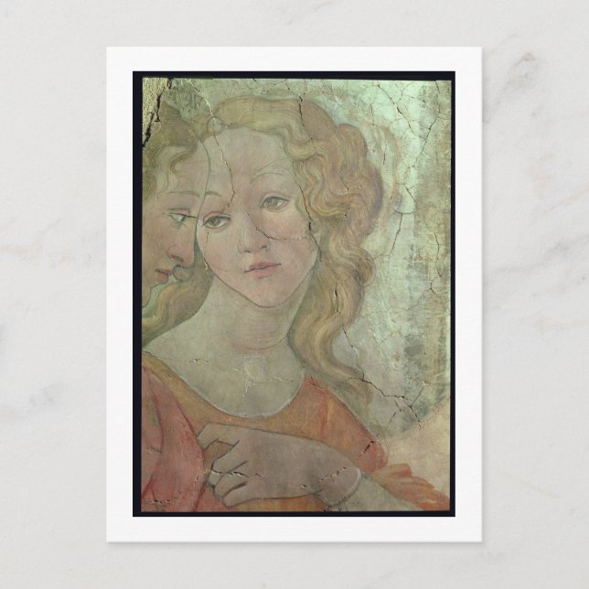 Cartão Postal Vênus e os Três Graus Oferecendo presentes para vo (Frente)