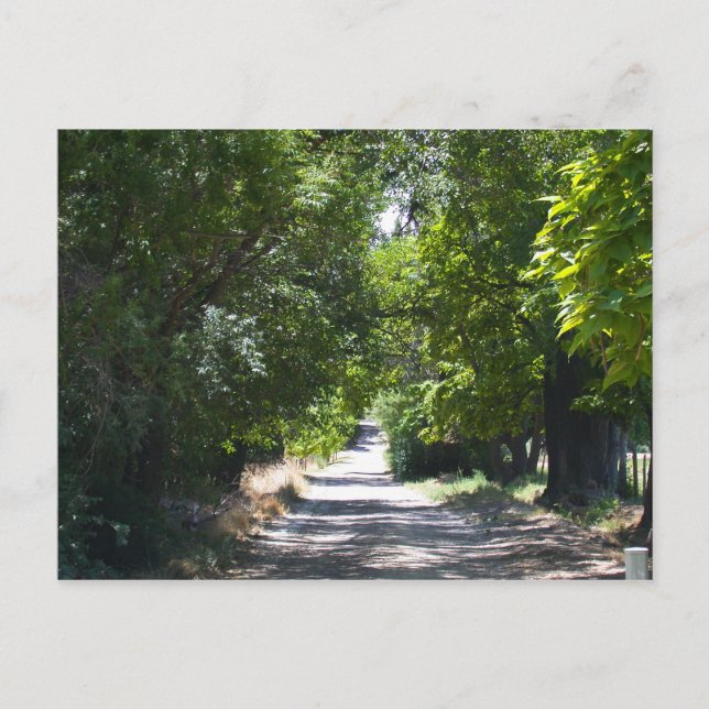 Cartão Postal Verão (Frente)