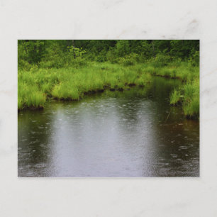 Cartão Postal Verão 2016 dos pingos de chuva