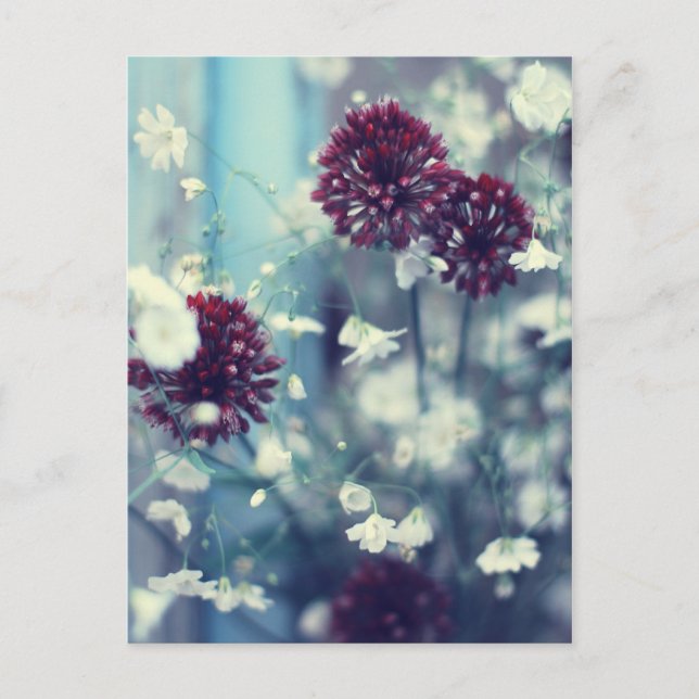 Cartão Postal Verão congelado (Frente)