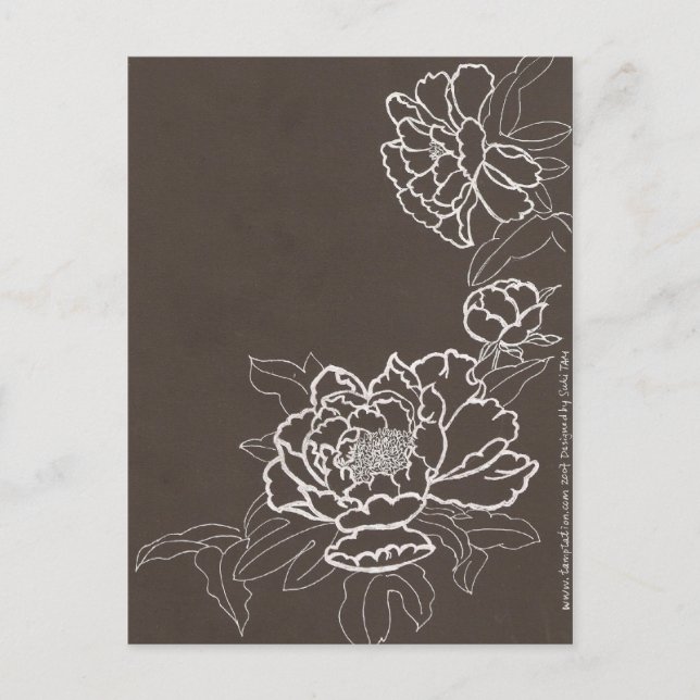 Cartão Postal verão do amor (Frente)