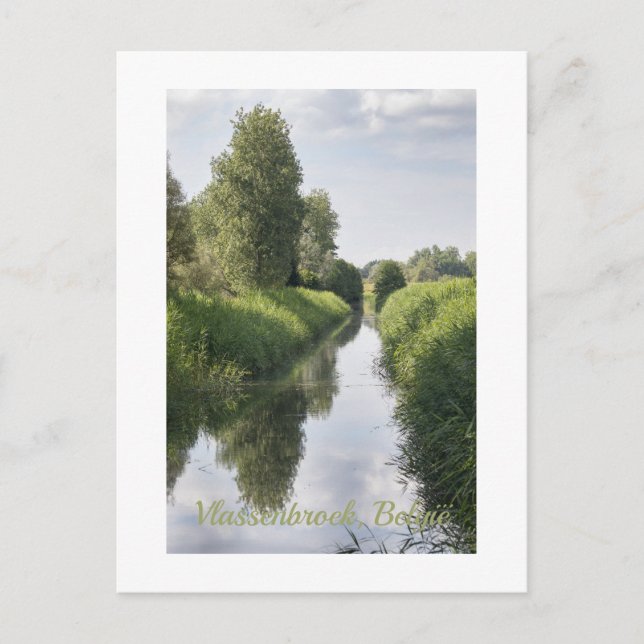 Cartão Postal Verão do médio em Vlassenbroek, Bélgica (Frente)