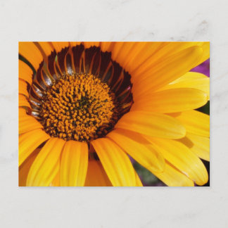 Cartão Postal Verão em Flor