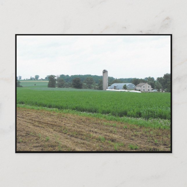 Cartão Postal ~ Verão em Lancaster County ~ 10 (Frente)