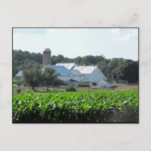 Cartão Postal ~ Verão em Lancaster County ~ 46