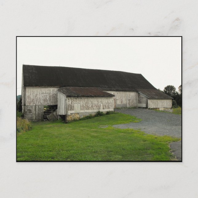 Cartão Postal ~ Verão em Lancaster County ~ 50 (Frente)