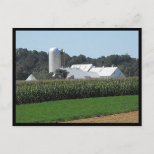 Cartão Postal ~ Verão em Lancaster County ~ 70