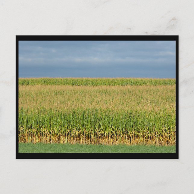 Cartão Postal ~ Verão em Lancaster County ~ 82 (Frente)