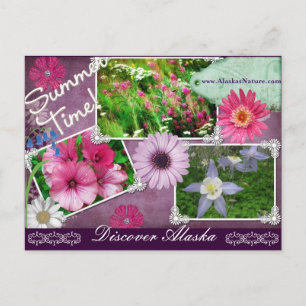 Cartão Postal Verão No Alasca