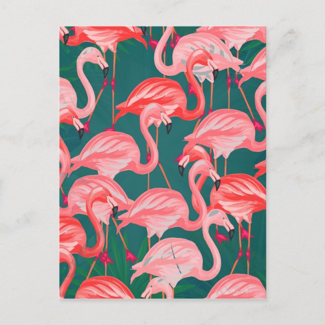 Cartão Postal verão tropical flamingo (Frente)