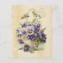 Cartão Postal Verdadeiro Amor Flor Roxo Ilustração Vintage