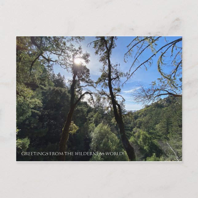 CARTÃO POSTAL VERDADES DO MUNDO DA MULHER! (Frente)