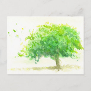 Cartão Postal Verde