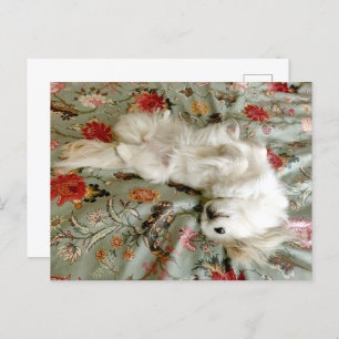 Cartão Postal Verde