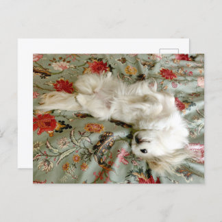 Cartão Postal Verde