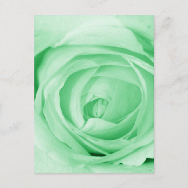 Cartão Postal Verde claro (Frente)