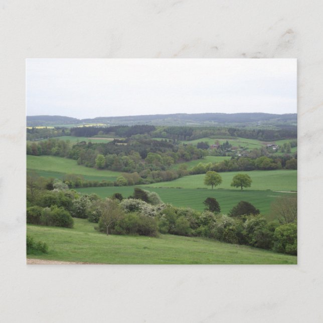 Cartão postal verde e terrestre agradável (Frente)