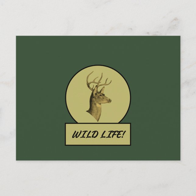 Cartão postal verde escuro Buck Head (Frente)