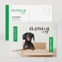 Cartão Postal Verde Estamos Movendo o Cão Dachshund no Cartão-Po