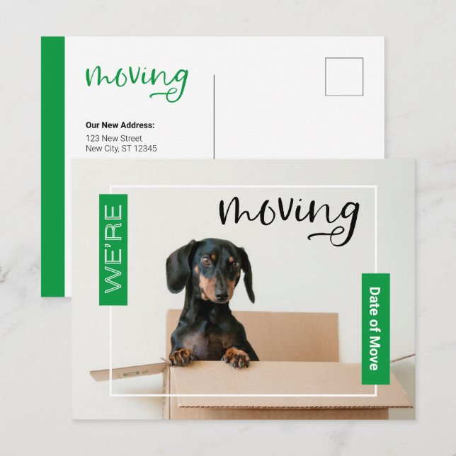 Cartão Postal Verde Estamos Movendo o Cão Dachshund no Cartão-Po (Frente/Verso)