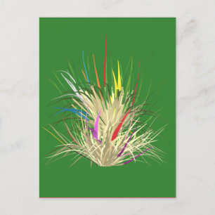 Cartão Postal Verde natural com aparência natural
