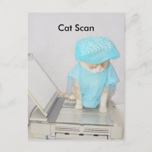 Cartão Postal Verificação de Cat