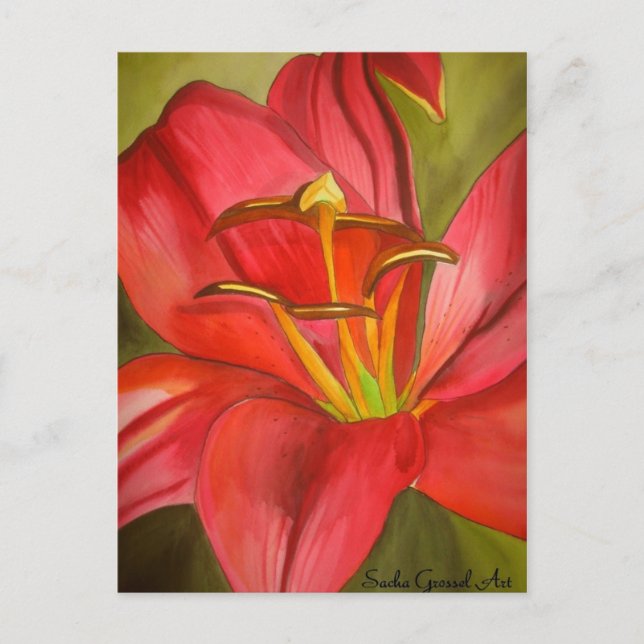 Cartão Postal Vermelho Alerta Lily - pintura em flor de aquarela (Frente)