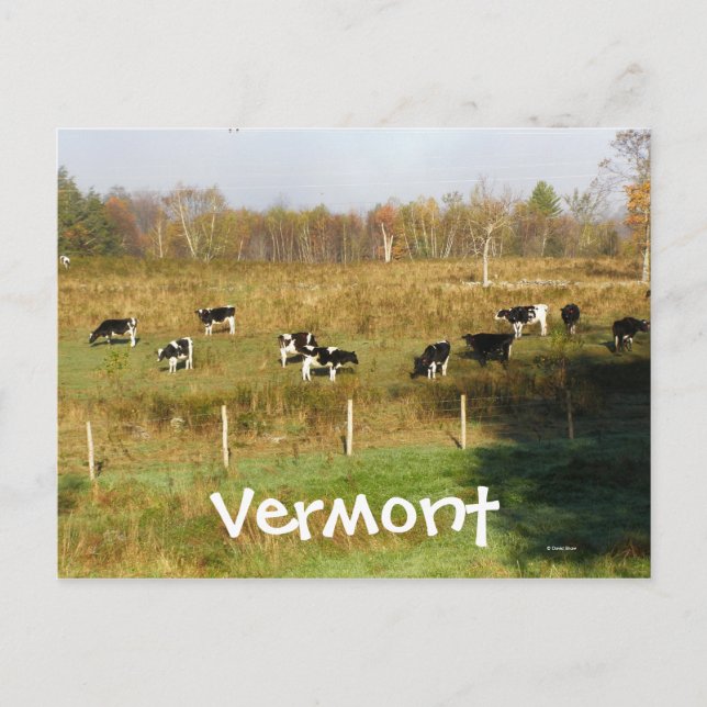 Cartão Postal Vermont (Frente)