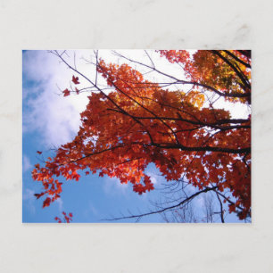 Cartão postal Vermont 1