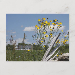 Cartão Postal Vermont Country Living