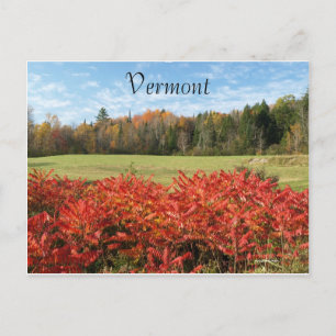 Cartão Postal Vermont em Cor