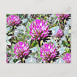 Cartão Postal Vermont Red Clover