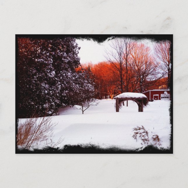 Cartão Postal Vermont Snow Day 2011 (Frente)