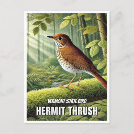 Cartão Postal Vermont State Bird Hermit Thrush