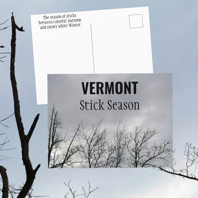 Cartão Postal Vermont Stick Season New England Fotografia (Criador carregado)