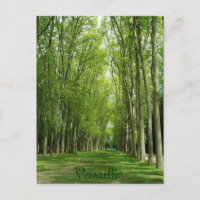 Versailles Trees Gardens Romantic Path France