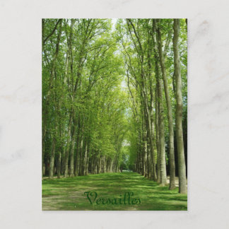 Cartão Postal Versailles Trees Gardens Romantic Path France