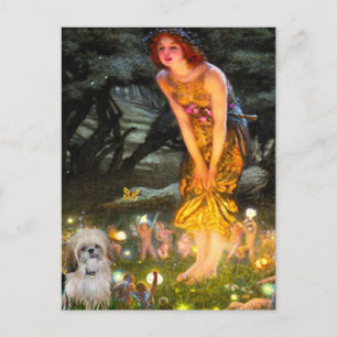 Cartão Postal Véspera de Solstício de Verão - Shih Tzu (P)