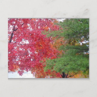 Cartão Postal vestido (para ajustado do humor)