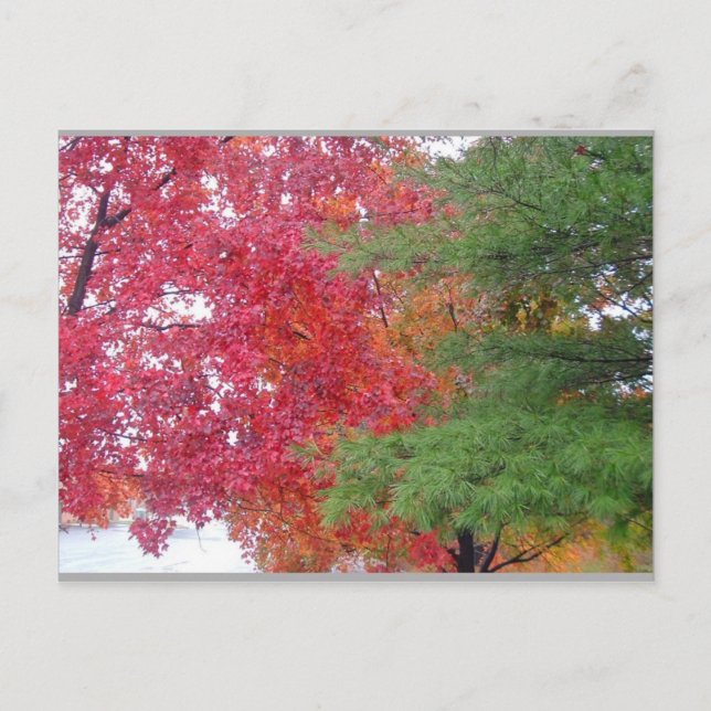 Cartão Postal vestido (para ajustado do humor) (Frente)