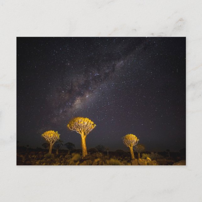 Cartão Postal Via Láctea Quiver Tree | Keetmanshoop Namíbia (Frente)