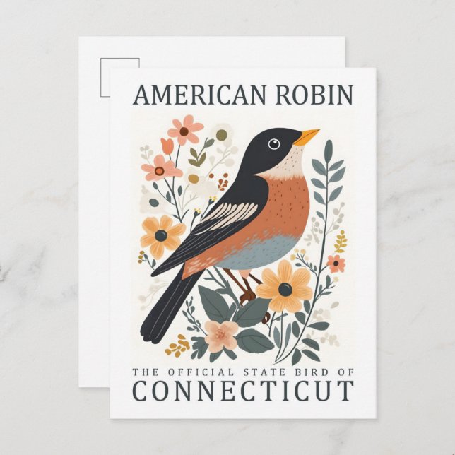 Cartão Postal Viagem Americano Robin Bird, do Connecticut USA (Frente/Verso)