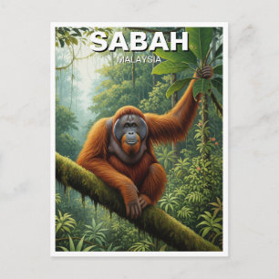 Cartão Postal Viagem ao Orangotango de Sabah na Malásia