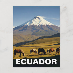 Cartão Postal Viagem ao Parque Nacional Cotopaxi no Equador
