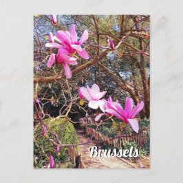 Cartão Postal Viagem Bruxelas Bélgica