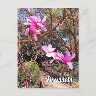 Cartão Postal Viagem Bruxelas Bélgica