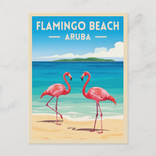 Cartão Postal Viagem Clássica Aruba Flamingo Praia Cenário Retrô