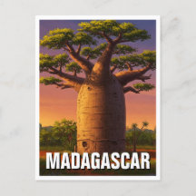 Viagem da árvore Baobab Madagascar