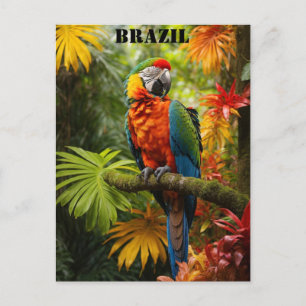 Cartão Postal Viagem de Ave Macaw Colorido da Floresta Tropical
